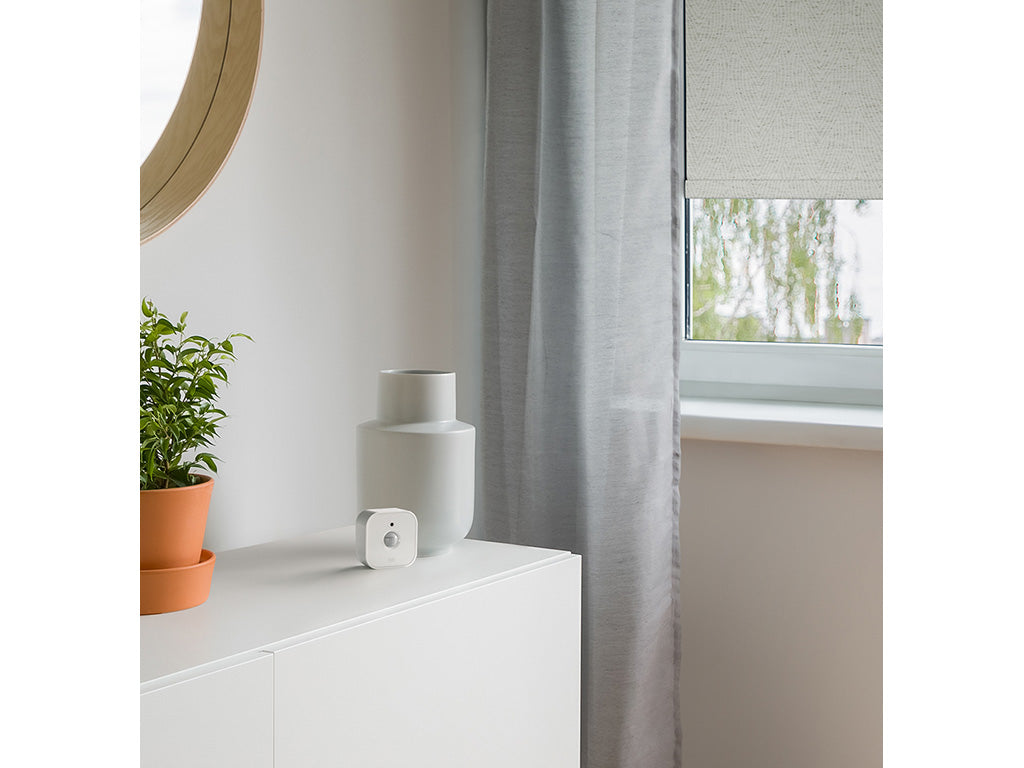 Eve Motion auf einer weißen Kommode neben Vase und Topfpflanze, rechts Fenster mit grauem Vorhang