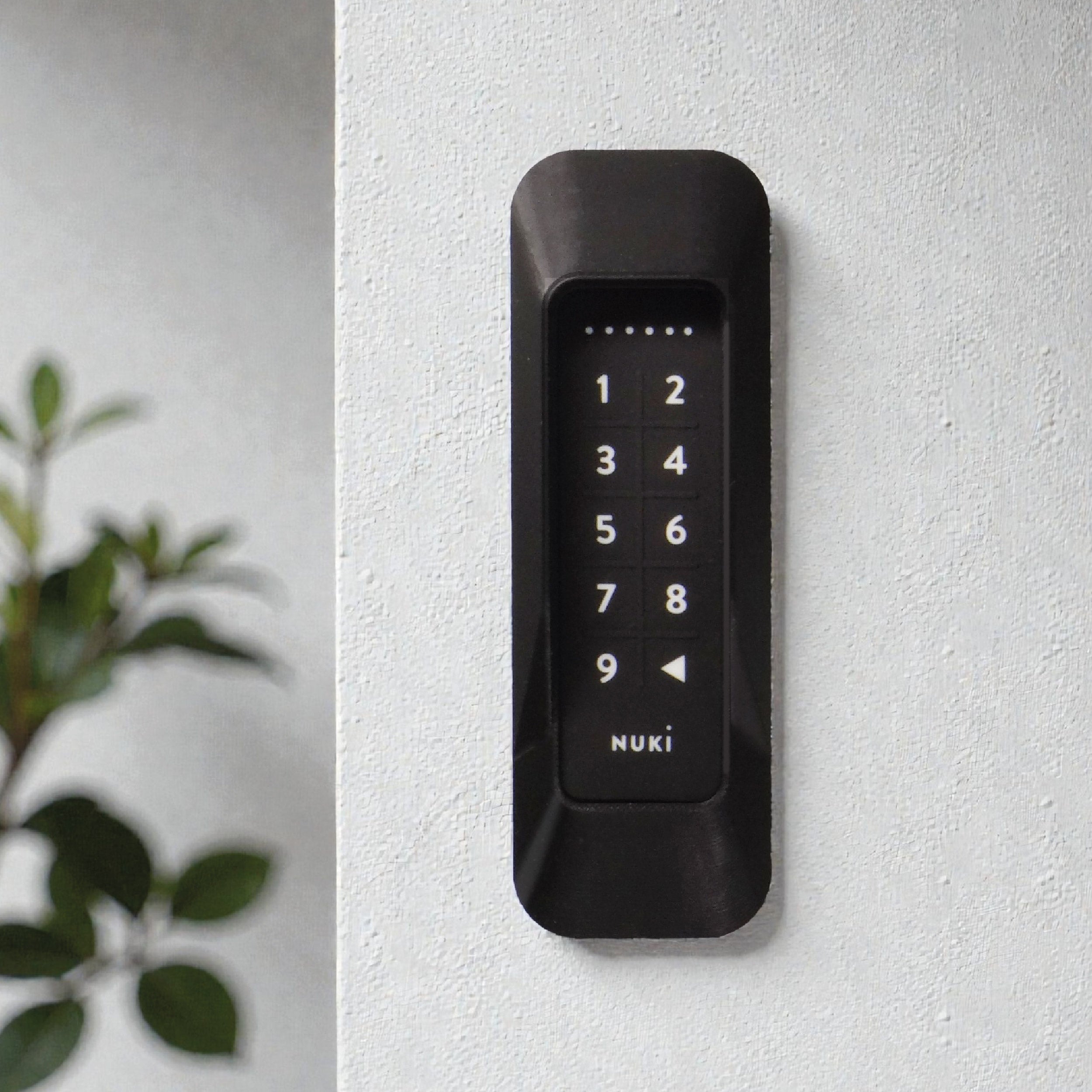 Das Keypad 1 im Rahmen an einer Wand neben einer Grünpflanze