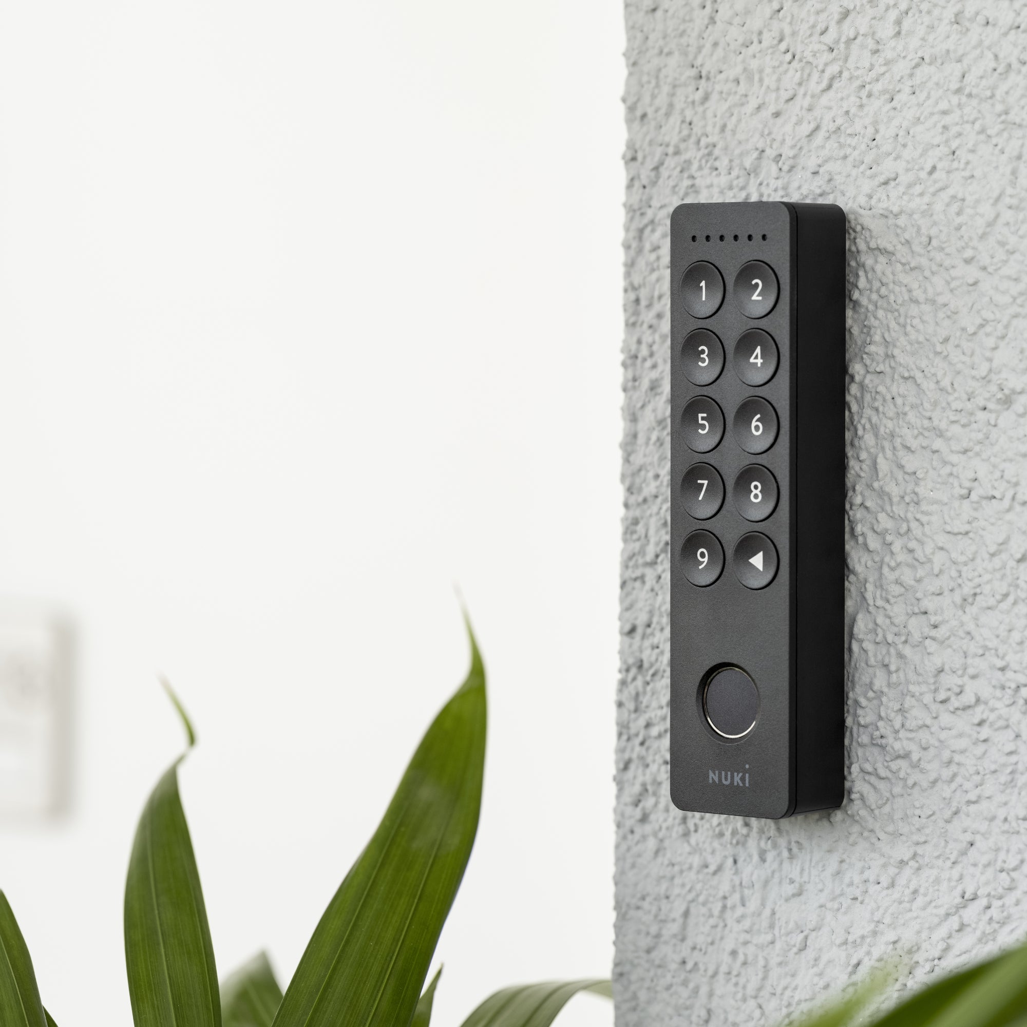 Nuki Keypad 2 an einer weiß verputzten Außenwand neben der Tür montiert, Pflanzenblätter im Vordergrund