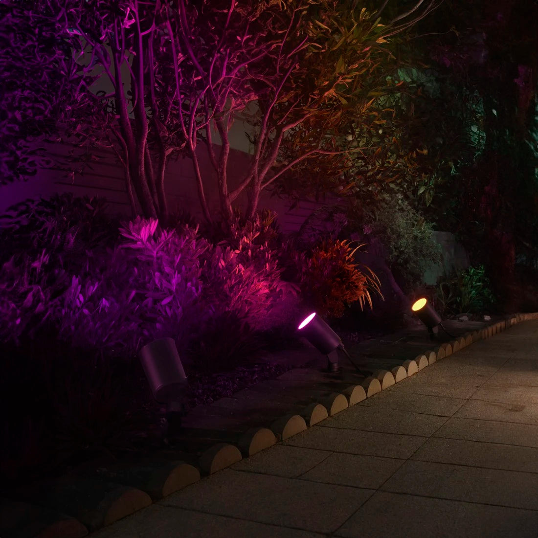 Nachts beleuchtete Gartenbeete: drei Hama Strahler werfen pinkes, violettes und orangefarbenes Licht