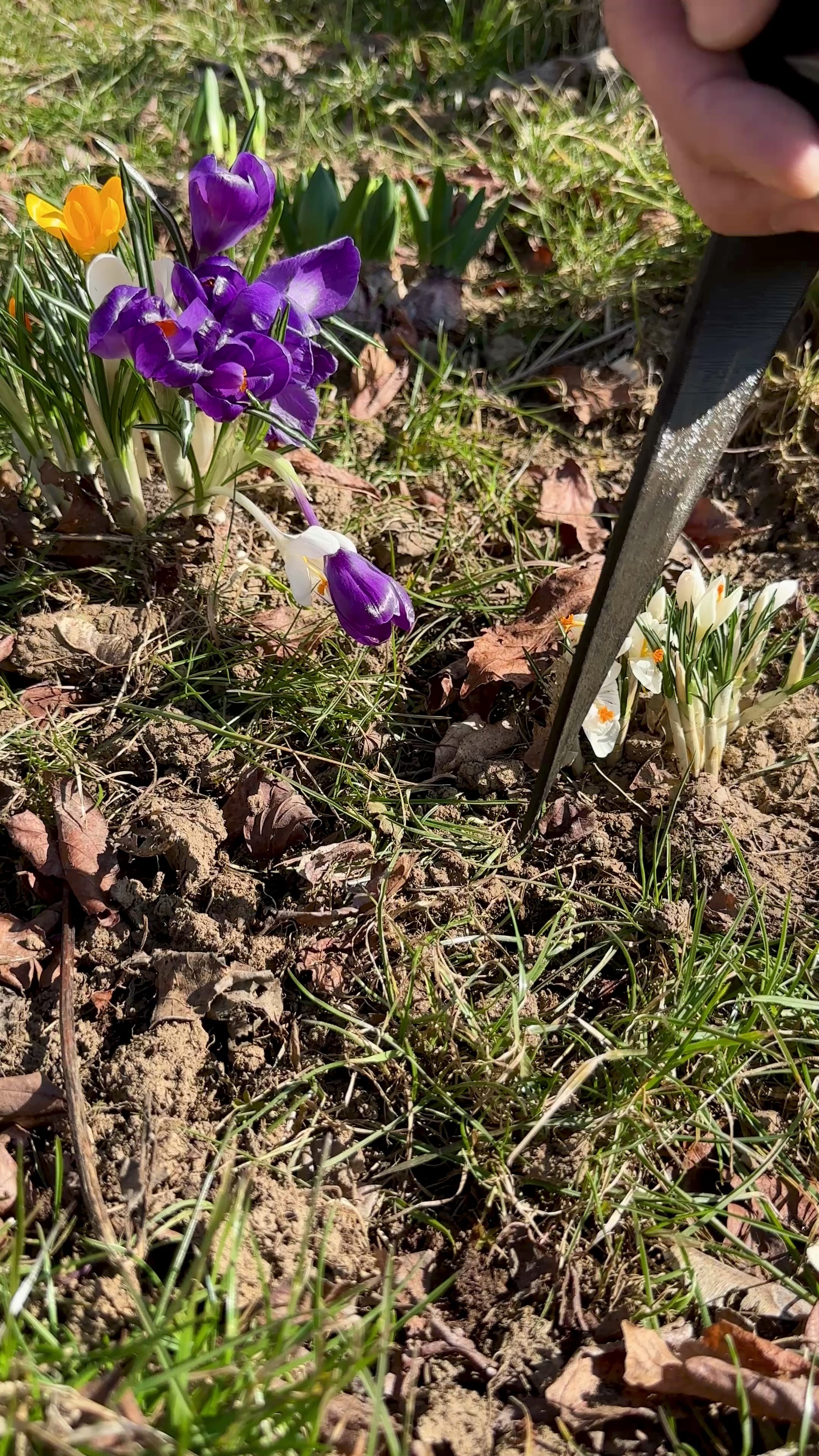 Erdspieß für Eve Energy Outdoor – Steckdose frei im Garten